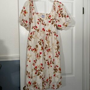 Brand new with tags Strawberry Dress